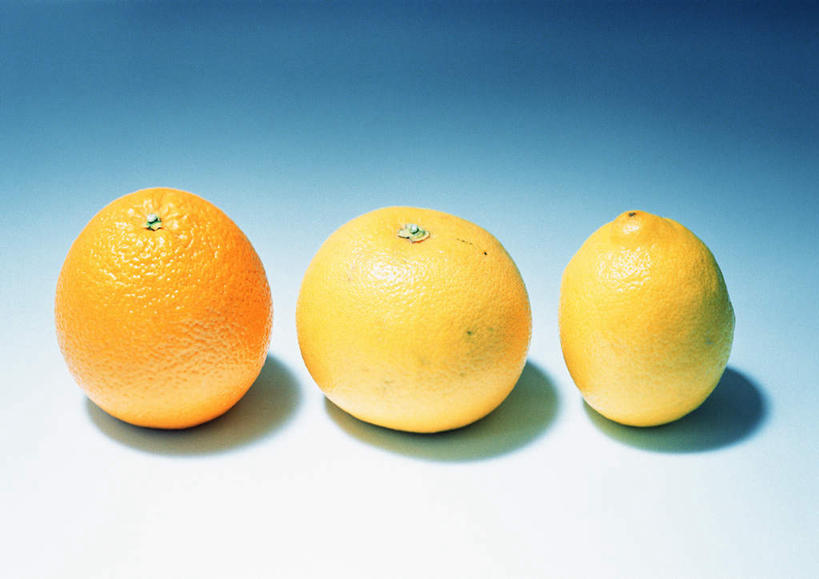 无人,横图,俯视,室内,特写,白天,白色背景,桌面,柑橘,柠檬,水果,一排,阴影,新鲜,整齐,反射,影子,生食,食品,果实,葡萄柚,食物,排列,三个,黄色,西柚,摄影,有机食品,绿色食品,影棚,队列,朱栾,益母果,柠果,橘子,桔子,橙子,橙,彩图,高角度拍摄,影棚拍摄,拍摄