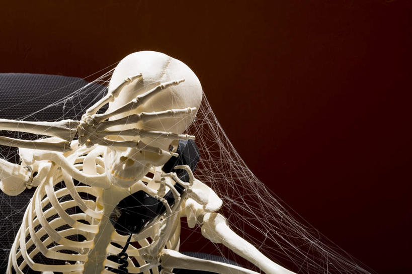 颅骨,骨骼,无人,坐,打电话,横图,室内,白天,正面,电话,椅子,一堆,许多,握,堆叠,堆积,蜘蛛网,骷髅,网,纸,墙,骨头,很多,拿,拿着,通讯设备,墙壁,墙面,红色,话筒,会议椅,电话线,握着,堆,办公椅,骨架,固定电话,蜘蛛丝,商务椅,培训椅,蛛网,鼻骨,顶骨,额骨,颈椎,颞骨,下颌骨,颧骨,捕杀,猎取,蛛丝,交流,头盖骨,电话机,沟通,通话,坐着,彩图