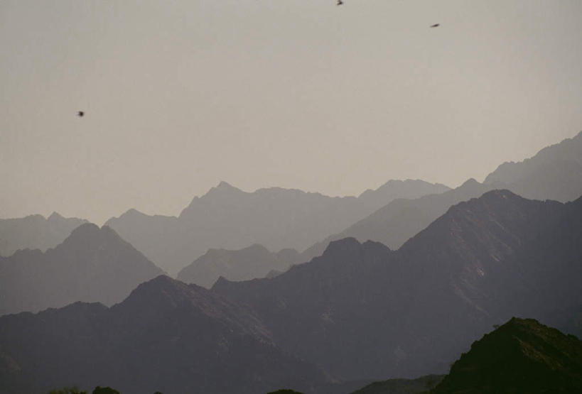 无人,横图,室外,白天,正面,旅游,度假,美景,山,山脉,雾,鸟,阿联酋,亚洲,飞翔,朦胧,模糊,飞行,鸟类,景观,山峰,山峦,背光,翱翔,娱乐,飞,自然,群山,享受,休闲,景色,放松,迷雾,自然风光,西亚,逆光,阿拉伯联合酋长国,迪拜,杜拜,绵连,绵联,大雾,彩图,全身