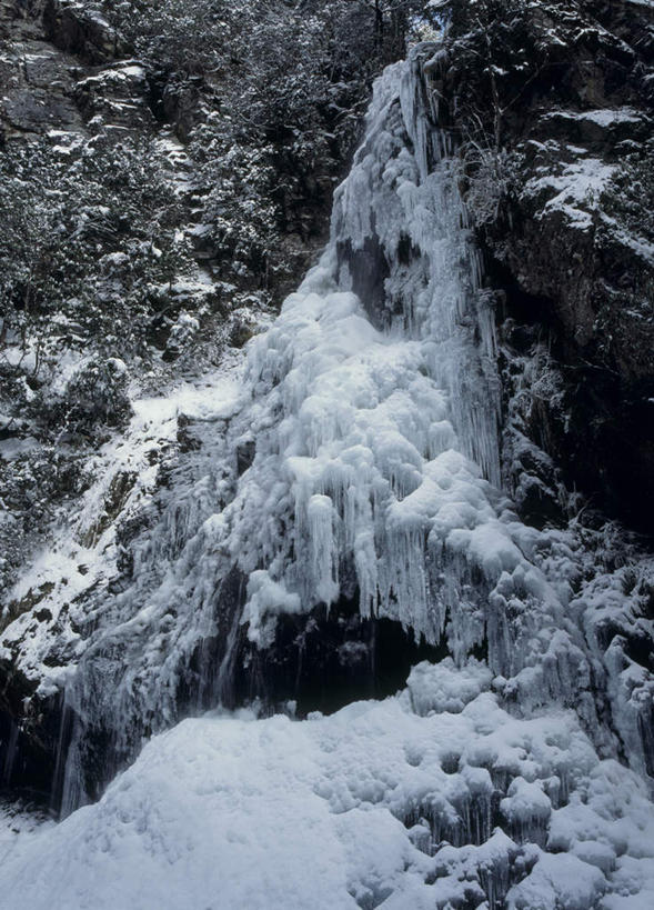 无人,竖图,室外,白天,正面,旅游,度假,美景,瀑布,山,水,雪,植物,大雪,奈良县,日本,亚洲,许多,飞溅,溅,液体,积雪,结冰,景观,山峰,雪景,冬天,山峦,娱乐,冰冻,树,树木,绿色,自然,享受,休闲,景色,放松,生长,成长,喷洒,自然风光,东亚,本州,本州岛,日本国,近畿地方,奈良,近畿,跌水,彩图