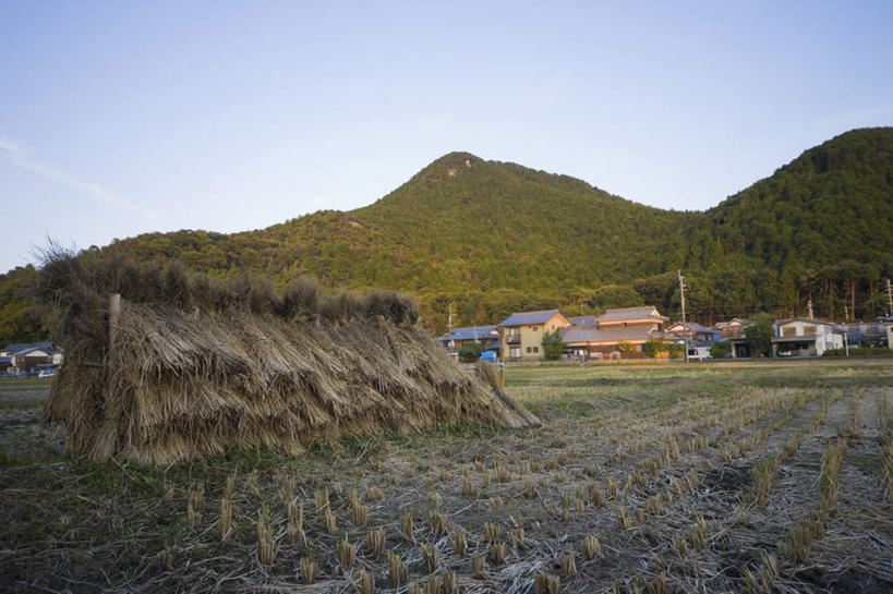 无人,农田,横图,室外,白天,正面,旅游,度假,庄稼,收割,美景,山,山脉,植物,日本,亚洲,阴影,丰收,枯萎,光线,影子,房屋,屋子,稻田,景观,山峰,枯草,水稻,山峦,娱乐,草,黄色,蓝色,蓝天,天空,阳光,自然,草垛,群山,天,享受,休闲,景色,放松,收获,自然风光,东亚,本州,本州岛,日本国,近畿地方,近畿,滋贺,滋贺县,彩图,耕地,庄稼田,房子