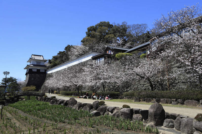 坐,横图,室外,白天,正面,旅游,度假,石头,植物,长崎,日本,亚洲,行人,游客,游人,盛开,石子,房屋,屋子,许多人,花蕾,休闲装,娱乐,楼房,花,花瓣,花朵,鲜花,树,树木,蓝色,绿色,蓝天,天空,自然,天,花苞,花蕊,一群人,享受,休闲,休闲服,放松,生长,成长,东亚,日本国,长崎县,九州本岛,九州,九州岛,九州地方,男人,男性,年轻男性,年轻女性,女人,女性,石块,坐着,半身,彩图,房子