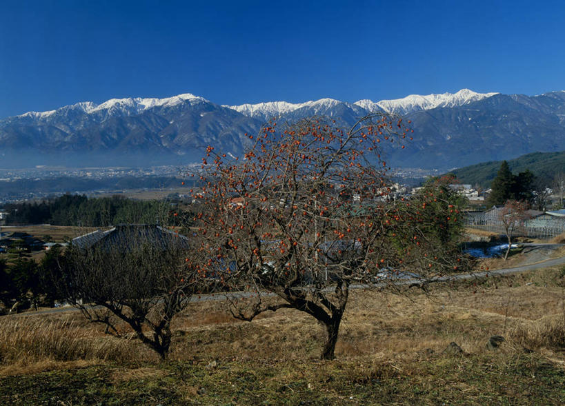 无人,横图,室外,白天,正面,旅游,度假,草地,草坪,石头,美景,山,雪,雪山,植物,大雪,长野县,日本,亚洲,阴影,光线,石子,影子,冰,积雪,景观,山顶,山峰,雪景,冬季,冬天,山峦,娱乐,草,树,树木,蓝色,绿色,蓝天,天空,阳光,自然,天,享受,休闲,景色,放松,寒冷,生长,晴朗,成长,冰冷,自然风光,东亚,沉积岩,本州,万里无云,本州岛,日本国,中部地方,长野,严寒,冰凉,酷寒,凛冽,凛凛,极冷,颠峰,极峰,水成岩,驹根市,石块,岩石,晴空,晴空万里,彩图