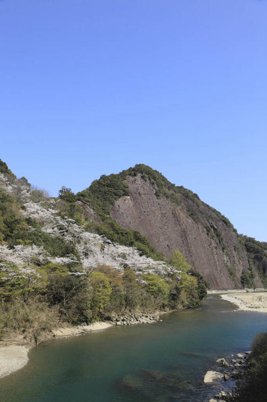 无人,竖图,室外,白天,正面,旅游,度假,幸福,纯洁,河流,石头,美景,森林,山,山脉,树林,水,植物,樱花,日本,亚洲,阴影,盛开,光线,石子,影子,河水,景观,山峰,水流,悬崖,山峦,花蕾,娱乐,花,花瓣,花朵,鲜花,树,树木,蓝色,绿色,蓝天,天空,阳光,自然,群山,天,花苞,花蕊,享受,休闲,景色,放松,生长,晴朗,成长,等待,生命,自然风光,东亚,本州,万里无云,本州岛,日本国,近畿地方,近畿,仙樱花,福岛樱,青肤樱,高尚,和歌山,和歌山县,绝壁,热烈,石块,岩石,晴空,晴空万里,荆桃,彩图,东牟娄郡,古座川町