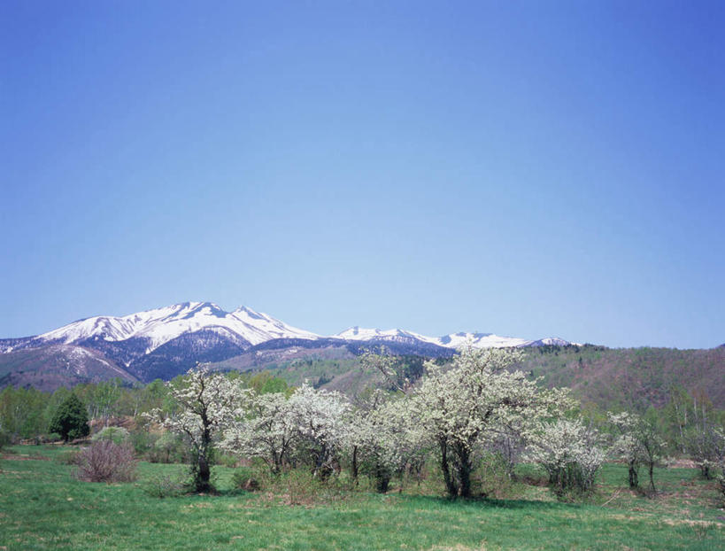 无人,横图,室外,白天,正面,旅游,度假,草地,草坪,河流,石头,美景,森林,山,树林,水,雪,雪山,植物,大雪,长野县,日本,亚洲,石子,冰,河水,积雪,景观,山峰,水流,雪景,云,云朵,冬季,冬天,山峦,云彩,娱乐,草,树,树木,蓝色,绿色,白云,蓝天,天空,自然,天,夏天,享受,休闲,景色,放松,寒冷,生长,晴朗,成长,冰冷,自然风光,东亚,本州,本州岛,日本国,中部地方,长野,严寒,冰凉,酷寒,凛冽,凛凛,极冷,石块,岩石,晴空,彩图