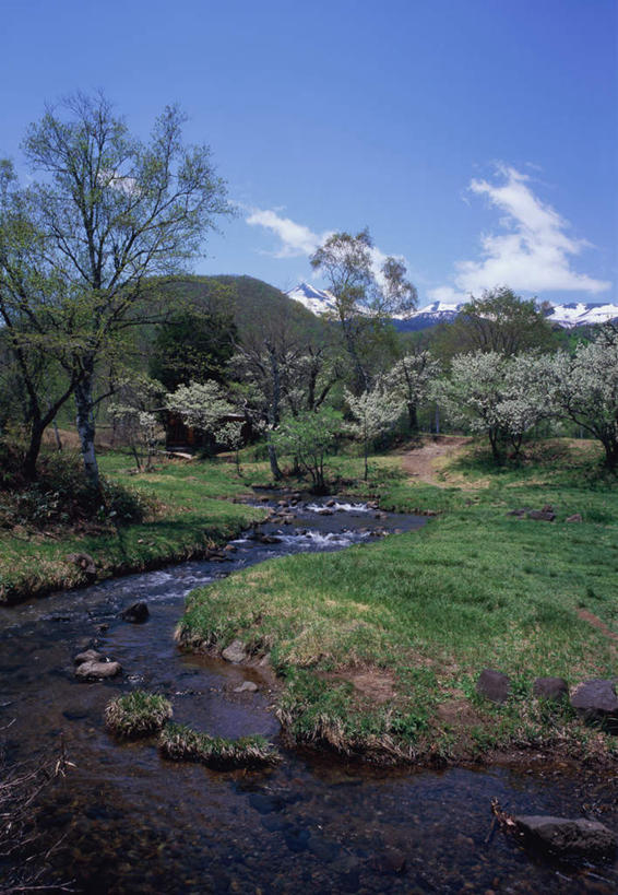 无人,竖图,室外,白天,正面,旅游,度假,草地,草坪,河流,石头,美景,森林,山,树林,水,雪,雪山,植物,大雪,长野县,日本,亚洲,石子,冰,河水,积雪,景观,山峰,水流,雪景,云,云朵,冬季,冬天,山峦,云彩,娱乐,草,树,树木,蓝色,绿色,白云,蓝天,天空,自然,天,夏天,享受,休闲,景色,放松,寒冷,生长,晴朗,成长,冰冷,自然风光,东亚,本州,本州岛,日本国,中部地方,长野,严寒,冰凉,酷寒,凛冽,凛凛,极冷,石块,岩石,晴空,彩图