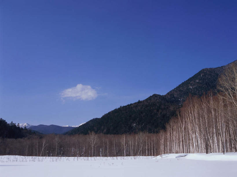 无人,横图,室外,白天,正面,旅游,度假,石头,美景,森林,山,树林,雪,雪山,植物,大雪,长野县,日本,亚洲,阴影,光线,石子,影子,冰,积雪,景观,山顶,山峰,雪景,云,云朵,冬季,冬天,山峦,云彩,娱乐,树,树木,蓝色,绿色,白云,蓝天,天空,阳光,自然,天,享受,休闲,景色,放松,寒冷,生长,晴朗,成长,冰冷,自然风光,东亚,沉积岩,本州,本州岛,日本国,中部地方,长野,严寒,冰凉,酷寒,凛冽,凛凛,极冷,颠峰,极峰,水成岩,蓼科山,石块,岩石,晴空,彩图