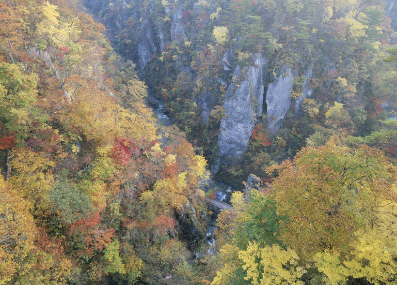 无人,横图,俯视,航拍,室外,白天,旅游,度假,美景,秋季,森林,山,树林,植物,日本,亚洲,朦胧,模糊,景观,山峰,云,云朵,山峦,云彩,娱乐,树,树木,蓝色,绿色,白云,蓝天,天空,自然,天,享受,休闲,景色,放松,生长,成长,鸟瞰,自然风光,东亚,本州,本州岛,日本国,宫城,宫城县,东北地方,秋,秋天,彩图,高角度拍摄