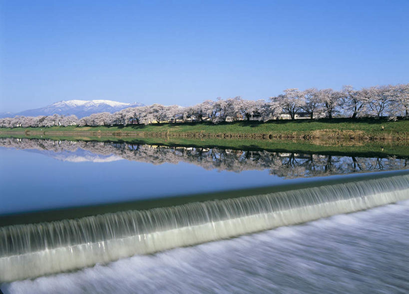 无人,横图,室外,白天,正面,旅游,度假,幸福,纯洁,河流,美景,山,水,植物,樱花,日本,亚洲,盛开,河水,景观,山峰,水流,山峦,花蕾,娱乐,花,花瓣,花朵,鲜花,树,树木,蓝色,绿色,蓝天,天空,自然,天,花苞,花蕊,享受,休闲,景色,放松,生长,晴朗,成长,等待,生命,自然风光,东亚,本州,万里无云,本州岛,日本国,宫城,宫城县,东北地方,仙樱花,福岛樱,青肤樱,高尚,热烈,晴空,晴空万里,荆桃,彩图