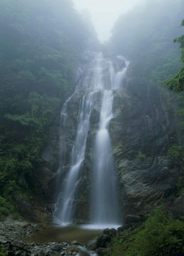 无人,竖图,室外,白天,仰视,旅游,度假,河流,美景,瀑布,森林,树林,水,植物,雾,长野县,日本,亚洲,飞溅,朦胧,模糊,溅,液体,河水,景观,水滴,水流,娱乐,水珠,树,树木,绿色,小溪,自然,溪水,享受,休闲,景色,放松,生长,成长,迷雾,喷洒,自然风光,东亚,本州,本州岛,日本国,中部地方,长野,跌水,大雾,彩图,低角度拍摄