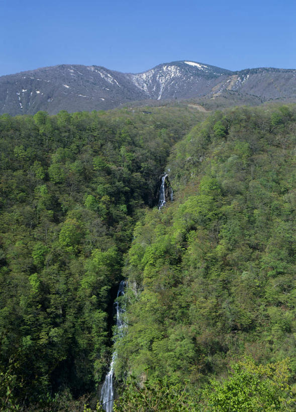 无人,竖图,俯视,航拍,室外,白天,旅游,度假,河流,美景,森林,山,树林,水,植物,日本,亚洲,河水,景观,山峰,水流,山峦,娱乐,树,树木,蓝色,绿色,蓝天,天空,小溪,自然,天,溪水,享受,休闲,景色,放松,生长,成长,鸟瞰,自然风光,东亚,本州,本州岛,日本国,宫城,宫城县,东北地方,彩图,高角度拍摄
