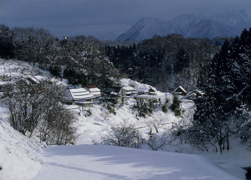 无人,横图,俯视,室外,白天,旅游,度假,美景,森林,树林,雪,植物,大雪,长野县,日本,亚洲,积雪,景观,雪景,云,云朵,冬天,云彩,娱乐,树,树木,绿色,白云,天空,自然,天,享受,休闲,景色,放松,生长,成长,自然风光,东亚,本州,本州岛,日本国,中部地方,长野,彩图,高角度拍摄