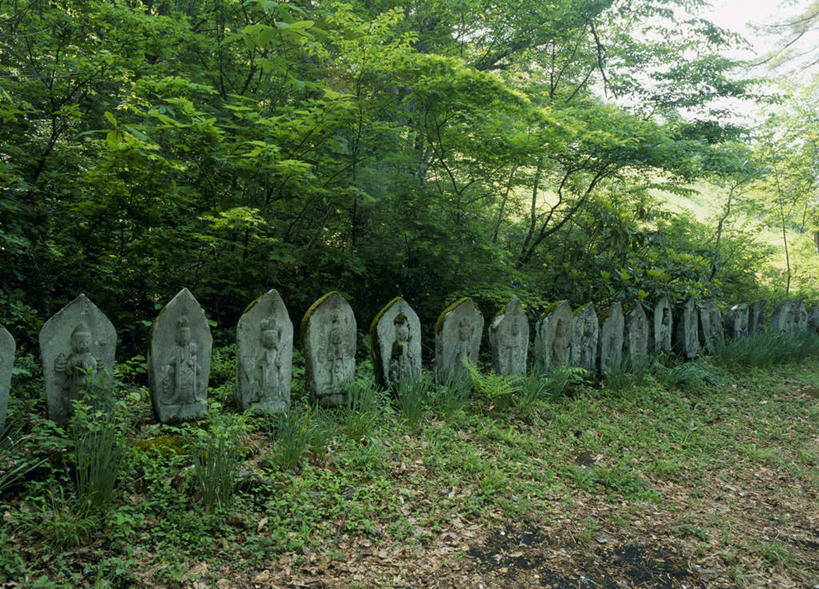 无人,横图,室外,白天,正面,旅游,度假,美景,森林,树林,植物,雕塑,长野县,日本,亚洲,一排,整齐,雕刻,雕像,景观,娱乐,树,树木,排列,绿色,自然,享受,休闲,景色,放松,生长,成长,队列,自然风光,东亚,本州,本州岛,日本国,中部地方,长野,彩图