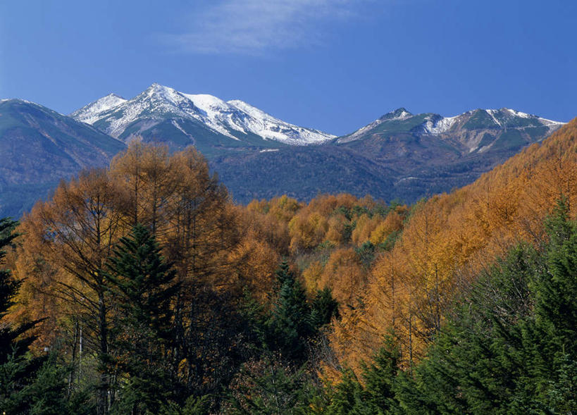 无人,横图,室外,白天,正面,旅游,度假,美景,森林,山,山脉,树林,雪,植物,大雪,长野县,日本,亚洲,积雪,景观,山峰,雪景,冬天,山峦,娱乐,树,树木,蓝色,绿色,蓝天,天空,自然,群山,天,享受,休闲,景色,放松,生长,成长,自然风光,东亚,本州,本州岛,日本国,中部地方,长野,彩图