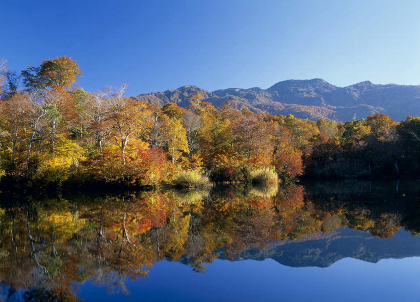 无人,横图,室外,白天,正面,旅游,度假,湖,湖泊,美景,秋季,森林,山,树林,水,植物,叶子,长野县,日本,亚洲,阴影,反射,影子,湖面,景观,山峰,水流,水面,绿叶,山峦,娱乐,树,树木,蓝色,绿色,蓝天,天空,自然,湖水,天,享受,休闲,嫩叶,景色,放松,生长,晴朗,成长,自然风光,东亚,本州,万里无云,本州岛,日本国,中部地方,长野,叶,叶片,晴空,晴空万里,秋,秋天,彩图