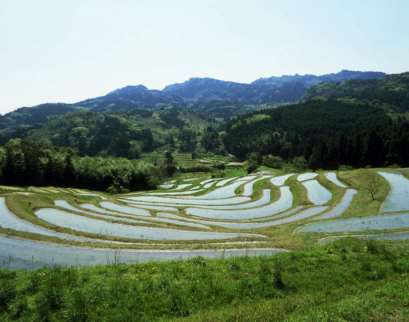 无人,农田,横图,室外,白天,正面,旅游,度假,庄稼,梯田,农作物,美景,森林,山,山脉,树林,植物,日本,亚洲,曲折,弯曲,稻田,景观,山峰,云,云朵,山峦,千叶县,云彩,娱乐,树,树木,绿色,白云,天空,自然,群山,天,享受,休闲,景色,放松,蜿蜒,生长,成长,自然风光,东亚,本州,关东地方,本州岛,日本国,千叶,彩图,耕地,庄稼田