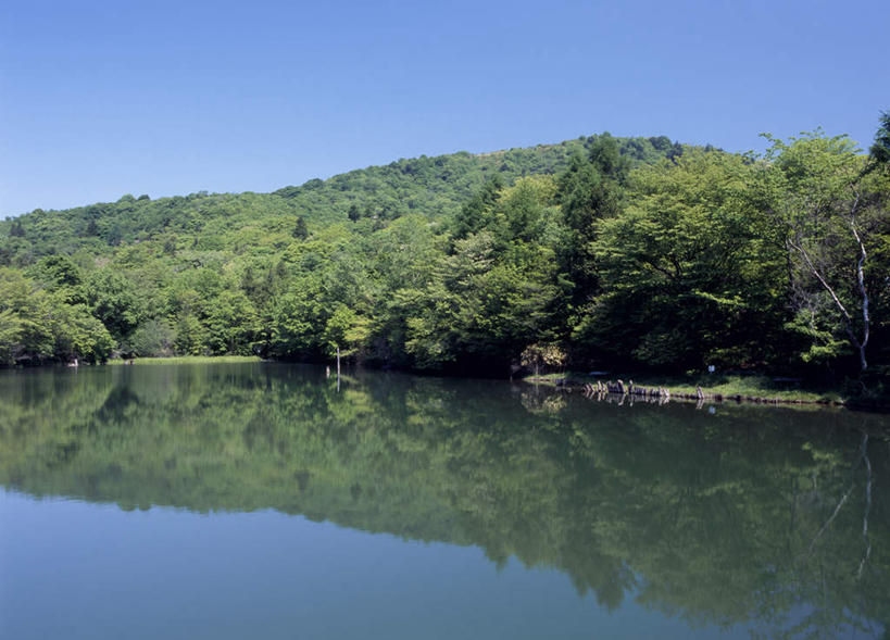 无人,横图,室外,白天,正面,旅游,度假,河流,美景,森林,树林,水,植物,爱知县,日本,亚洲,河水,景观,水流,娱乐,树,树木,蓝色,绿色,蓝天,天空,自然,天,享受,休闲,景色,放松,生长,晴朗,成长,自然风光,东亚,本州,万里无云,本州岛,日本国,中部地方,爱知,晴空,晴空万里,彩图