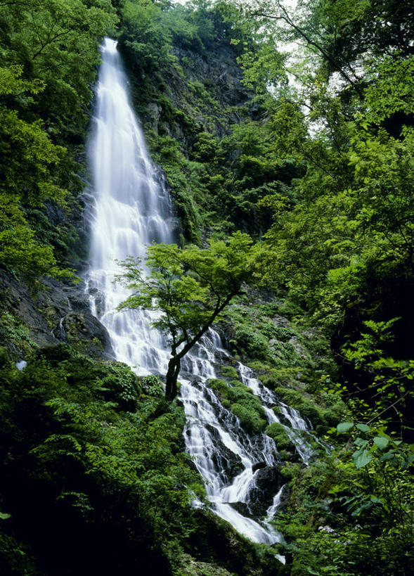 无人,竖图,室外,白天,仰视,旅游,度假,河流,石头,美景,瀑布,森林,树林,水,植物,日本,亚洲,飞溅,溅,石子,液体,河水,景观,水滴,水流,娱乐,水珠,树,树木,绿色,小溪,自然,溪水,享受,休闲,景色,放松,生长,成长,喷洒,自然风光,东亚,本州,本州岛,日本国,近畿地方,近畿,兵库,兵库县,跌水,石块,岩石,彩图,低角度拍摄