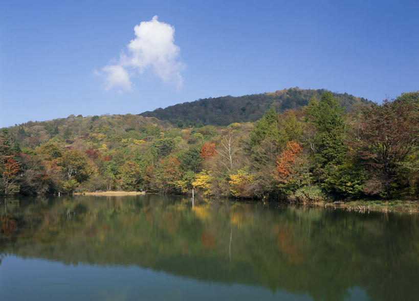 无人,横图,室外,白天,正面,旅游,度假,湖,湖泊,美景,秋季,森林,山,树林,水,植物,爱知县,日本,亚洲,阴影,反射,影子,湖面,景观,山峰,水流,水面,云,云朵,山峦,云彩,娱乐,树,树木,蓝色,绿色,白云,蓝天,天空,自然,湖水,天,享受,休闲,景色,放松,生长,成长,自然风光,东亚,本州,本州岛,日本国,中部地方,爱知,秋,秋天,彩图