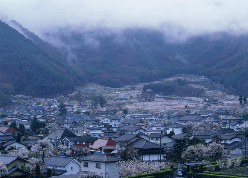 无人,家,横图,俯视,航拍,室外,白天,度假,草地,草坪,美景,山,植物,雾,城市风光,城市,长野县,日本,亚洲,朦胧,模糊,房屋,屋子,景观,山峰,山峦,娱乐,楼房,住宅,草,绿色,享受,休闲,景色,放松,迷雾,鸟瞰,东亚,本州,本州岛,日本国,中部地方,长野,大雾,彩图,高角度拍摄,房子