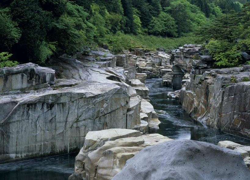 无人,横图,室外,白天,正面,旅游,度假,河流,石头,美景,森林,树林,水,植物,长野县,日本,亚洲,石子,河水,景观,水流,娱乐,树,树木,绿色,小溪,自然,溪水,享受,休闲,景色,放松,生长,成长,自然风光,东亚,本州,本州岛,日本国,中部地方,长野,石块,岩石,彩图