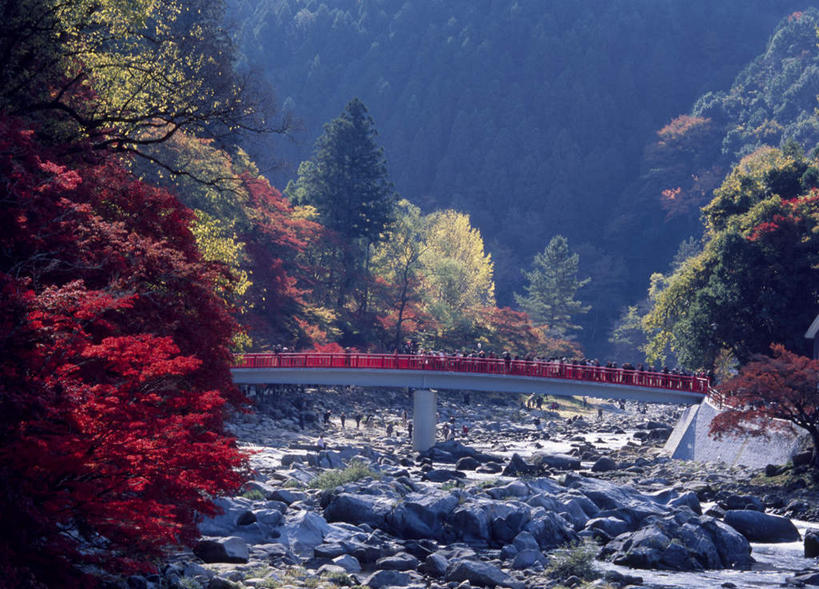 东方人,栏杆,站,横图,室外,白天,侧面,旅游,度假,石头,美景,秋季,森林,树林,植物,爱知县,日本,亚洲,行人,游客,游人,木板,石子,景观,围栏,桥,木桥,许多人,黄种人,娱乐,护栏,路人,旅客,栈桥,树,树木,绿色,自然,站着,一群人,享受,休闲,日本人,景色,放松,生长,成长,人行桥,木板桥,自然风光,东亚,本州,本州岛,日本国,中部地方,爱知,过客,男人,男性,年轻男性,年轻女性,女人,女性,亚洲人,石块,岩石,秋,秋天,站立,半身,彩图