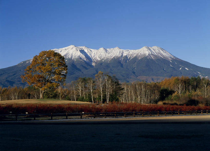 无人,横图,室外,白天,正面,旅游,度假,美景,森林,山,树林,雪,植物,大雪,长野县,日本,亚洲,积雪,景观,山峰,雪景,冬天,山峦,娱乐,树,树木,蓝色,绿色,蓝天,天空,自然,天,享受,休闲,景色,放松,生长,晴朗,成长,自然风光,东亚,本州,万里无云,本州岛,日本国,中部地方,长野,晴空,晴空万里,彩图
