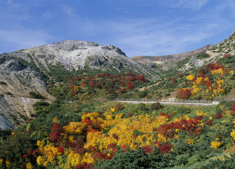 无人,横图,全景,俯视,室外,白天,旅游,度假,美景,山,山脉,天际线,道路,路,日本,亚洲,盛开,景观,山峰,云,云朵,小路,交通,山峦,花蕾,云彩,娱乐,花,花瓣,花朵,鲜花,蓝色,白云,蓝天,天空,自然,群山,天,花苞,花蕊,享受,休闲,景色,放松,乡间小路,晴朗,自然风光,东亚,本州,本州岛,日本国,东北地方,福岛,福岛县,晴空,彩图,高角度拍摄