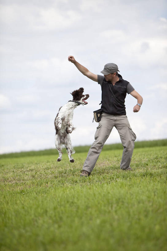 西方人,一个人,站,跳,举,竖图,室外,白天,正面,草地,草坪,植物,宠物,狗,帽子,欧洲,欧洲人,仅一个男性,仅一个人,仅一个中年男性,阴影,服装,裤子,光线,影子,云,云朵,训练,云彩,注视,休闲裤,休闲装,草,一只,衣服,蓝色,绿色,白云,蓝天,天空,阳光,动物,遮阳帽,天,观察,看,托,站着,休闲,休闲服,可爱,服饰,晴朗,观看,察看,关注,寻回犬,忠诚,一顶,史宾格犬,男人,男性,中年男性,白种人,晴空,犬,举起,举手,举着,跳跃,向上举,向上伸,向上托,站立,彩图,全身