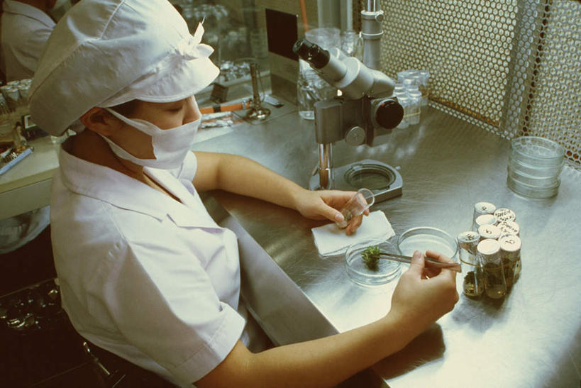 东方人,一个人,科学家,坐,横图,俯视,室内,白天,实验,仪器,桌面,桌子,帽子,亚洲,仅一个年轻女性,仅一个女性,仅一个人,握,服装,检查,研究,反射,分离,分析,科学,化学,测试,木制,培养皿,显微镜,实验室,研究室,过滤,拿,分开,拿着,注视,黄种人,衣服,白色,口罩,木制品,观察,看,隔断,器皿,生物,清晰,探索,握着,遮掩,服饰,放大,观看,隔离,仔细,透镜,察看,卫生,掩盖,凸透镜,遮挡,聚焦,衣着,科研人员,白大褂,穿着,关注,净化,间隔,研究者,预防,试验室,遮盖,实验服,皮氏培养皿,防尘,科学研究者,试验耗材,实验用品,化学器材,光学,清楚,掩饰,断绝,隔开,屏蔽,屏绝,远离,中断,阻遏,阻隔,衣饰,年轻女性,女人,女性,亚洲人,科学工作者,坐着,半身,彩图,高角度拍摄,实验衣