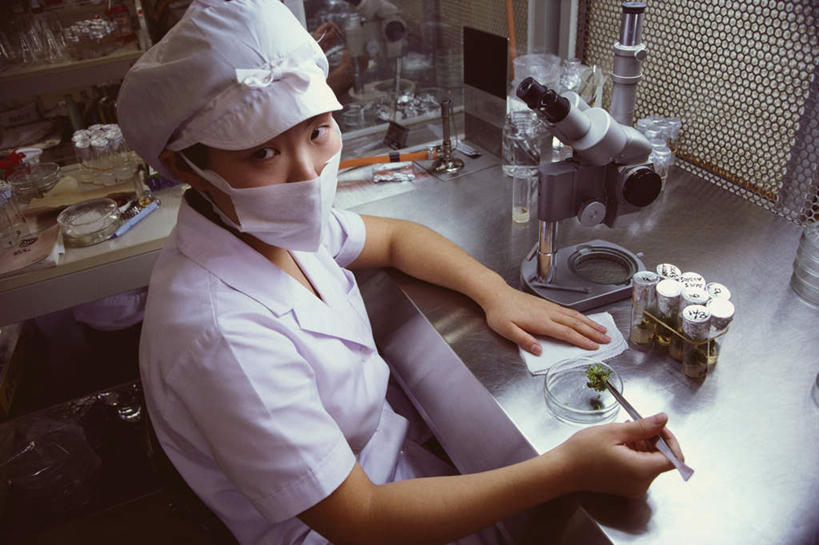 东方人,一个人,科学家,坐,横图,俯视,室内,白天,实验,仪器,桌面,桌子,帽子,亚洲,仅一个年轻女性,仅一个女性,仅一个人,握,服装,检查,研究,反射,分离,分析,科学,化学,测试,木制,培养皿,显微镜,实验室,研究室,过滤,拿,分开,拿着,注视,黄种人,衣服,白色,口罩,木制品,观察,看,隔断,器皿,生物,清晰,探索,握着,遮掩,服饰,放大,观看,隔离,仔细,透镜,察看,卫生,掩盖,凸透镜,遮挡,聚焦,衣着,科研人员,白大褂,穿着,关注,净化,间隔,研究者,预防,试验室,遮盖,实验服,皮氏培养皿,防尘,科学研究者,试验耗材,实验用品,化学器材,光学,清楚,掩饰,断绝,隔开,屏蔽,屏绝,远离,中断,阻遏,阻隔,衣饰,年轻女性,女人,女性,亚洲人,科学工作者,抬头,仰头,坐着,半身,彩图,高角度拍摄,实验衣