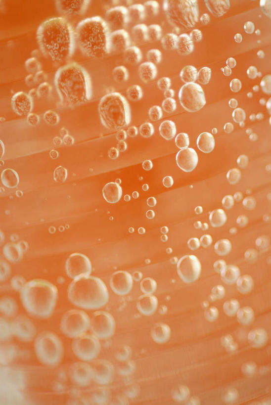 果汁,无人,竖图,室内,特写,白天,正面,幸福,水,阴影,波纹,透明,反射,液体,影子,气泡,水滴,涟漪,漩涡,饮品,辉煌,水泡,水珠,饮料,水纹,泡泡,温暖,橙色,活泼,华丽,暖色,圆弧,可口,温情,炽热,响亮,跃动,适口,甜蜜,彩图,愉快