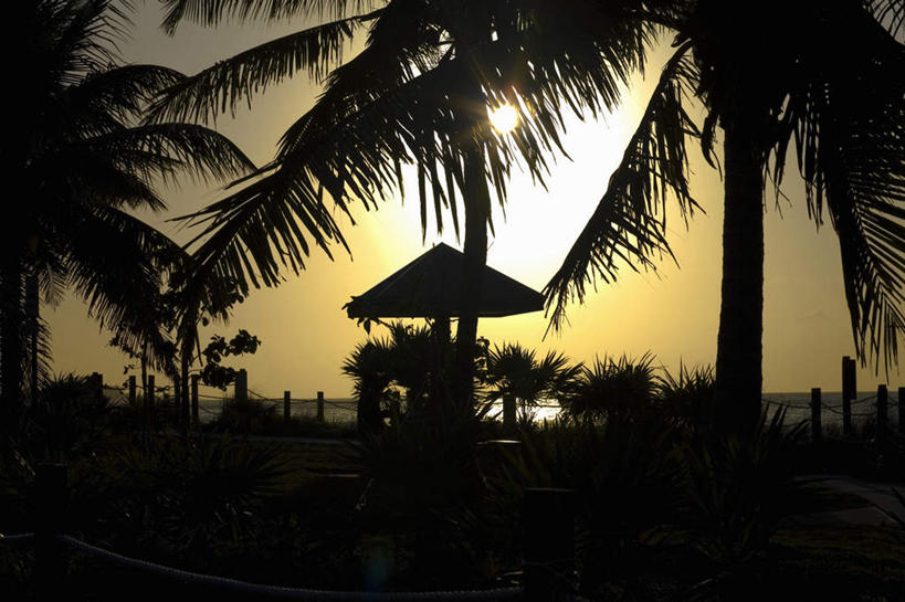 无人,横图,室外,白天,正面,旅游,度假,岛屿,海浪,海洋,美景,日落,植物,棕榈树,叶子,美国,景观,浪花,晚霞,霞光,落日,绿叶,背光,娱乐,树,树木,绿色,自然,海水,黄昏,享受,休闲,嫩叶,景色,彩霞,放松,生长,成长,北美,北美洲,自然风光,美洲,逆光,海景,棕榈叶,佛罗里达,佛罗里达州,佛州,阳光州,北亚美利加洲,亚美利加洲,夕照,叶,叶片,大海,风浪,海,海水的波动,近岸浪,列岛,群岛,涌浪,诸岛,夕阳,彩图,基韦斯特,基维斯特,西礁岛,斜阳