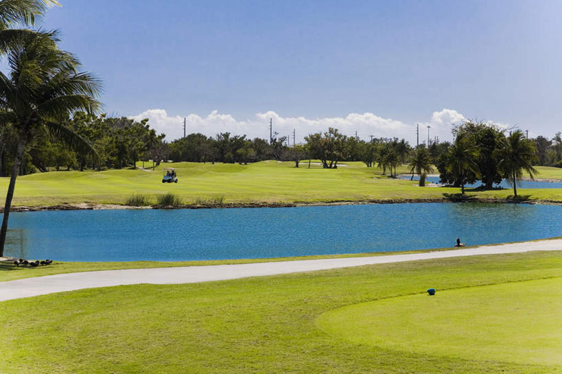 无人,横图,室外,白天,正面,旅游,度假,草地,草坪,岛屿,湖,湖泊,美景,水,植物,棕榈树,叶子,美国,阴影,波纹,光线,影子,湖面,景观,水流,水面,云,云朵,球场,绿叶,涟漪,云彩,娱乐,高尔夫球场,草,树,树木,蓝色,绿色,白云,倒影,蓝天,水纹,天空,阳光,自然,波浪,湖水,天,享受,休闲,嫩叶,景色,放松,生长,晴朗,成长,倒映,北美,北美洲,自然风光,美洲,绿茵场,棕榈叶,佛罗里达,佛罗里达州,佛州,阳光州,水晕,北亚美利加洲,亚美利加洲,反照,叶,叶片,列岛,群岛,诸岛,晴空,彩图,基韦斯特,基维斯特,西礁岛