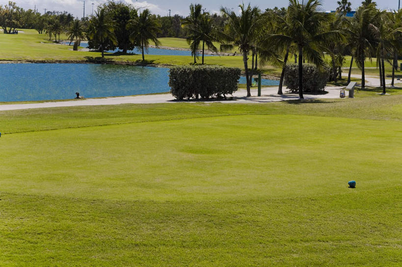 无人,横图,室外,白天,正面,旅游,度假,草地,草坪,岛屿,湖,湖泊,美景,水,植物,棕榈树,叶子,美国,阴影,波纹,光线,影子,湖面,景观,水流,水面,云,云朵,球场,绿叶,涟漪,云彩,娱乐,高尔夫球场,草,树,树木,蓝色,绿色,白云,倒影,蓝天,水纹,天空,阳光,自然,波浪,湖水,天,享受,休闲,嫩叶,景色,放松,生长,晴朗,成长,倒映,北美,北美洲,自然风光,美洲,绿茵场,棕榈叶,佛罗里达,佛罗里达州,佛州,阳光州,水晕,北亚美利加洲,亚美利加洲,反照,叶,叶片,列岛,群岛,诸岛,晴空,彩图,基韦斯特,基维斯特,西礁岛