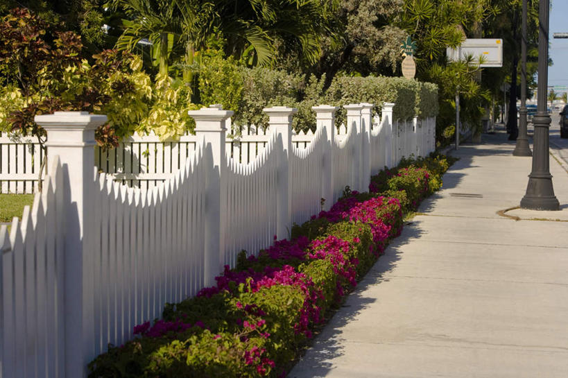 无人,栏杆,横图,室外,白天,正面,度假,草地,草坪,岛屿,美景,植物,城市风光,城市,美国,阴影,盛开,光线,影子,栅栏,景观,篱笆,围栏,花蕾,娱乐,护栏,草,花,花瓣,花朵,鲜花,树,树木,绿色,阳光,自然,花苞,花蕊,享受,休闲,景色,放松,生长,成长,北美,北美洲,美洲,佛罗里达,佛罗里达州,佛州,阳光州,北亚美利加洲,亚美利加洲,列岛,群岛,诸岛,彩图,基韦斯特,基维斯特,西礁岛