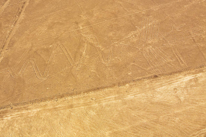 无人,横图,俯视,室外,白天,旅游,度假,绘画,名胜古迹,标志建筑,地标,建筑,海鸟,鸟,秘鲁,阴影,遗迹,艺术,装饰,光线,鸟类,影子,墙,古迹,文化,文物,娱乐,建设,古建筑,壁画,墙壁,墙面,阳光,享受,休闲,旅游胜地,南美,放松,华丽,修饰,点缀,南美洲,拉丁美洲,美洲,古文明,秘鲁共和国,伊卡,纳斯卡,亚美利加洲,衬托,美观,雅致,雅观,南亚美利加洲,玉米之仓,鲣鸟,纳斯卡巨画,纳斯卡线条,伊卡省,画画,半身,彩图,高角度拍摄