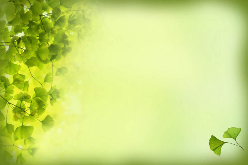 无人,横图,室内,白天,正面,按摩,美容,数码,科技,植物,叶子,护肤,阴影,朦胧,模糊,网络,绿叶,草药,药草,高光,几何,计算机图形,合成,中药,树叶,绿色,保养,享受,休闲,嫩叶,银杏叶,放松,SPA水疗,保健,温泉浴场,电脑合成图,数码合成图,合成图,药材,中草药,养颜,中药材,本草,写实,具体,具象,白果叶,叶,叶片,矿泉疗养地,彩图,水疗