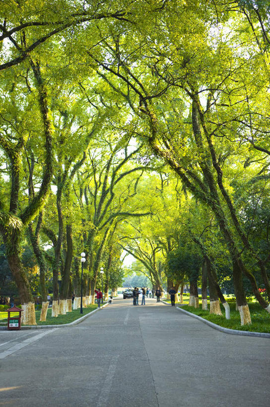 东方人,走,竖图,室外,白天,正面,旅游,度假,美景,植物,道路,路,桂林,中国,亚洲,行人,游客,游人,服装,景观,小路,交通,许多人,注视,休闲装,黄种人,娱乐,路人,旅客,树,树木,衣服,绿色,自然,观察,看,一群人,享受,休闲,休闲服,景色,放松,服饰,生长,成长,观看,广西,察看,关注,自然风光,东亚,广西壮族自治区,中华人民共和国,桂林市,桂,华南地区,过客,男人,男性,年轻男性,年轻女性,女人,女性,亚洲人,步行,散步,走路,彩图,全身,桂林王城,靖江王城,靖江王府