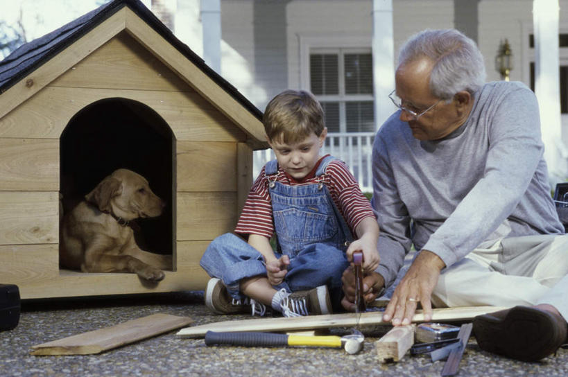 西方人,儿童,老年人,两个人,家庭,祖父,家,坐,笑,微笑,露齿笑,横图,室外,白天,正面,纯洁,宠物,狗,欧洲,欧洲人,敲打,握,阴影,服装,裤子,光线,锤子,工具,榔头,木材,眼镜,影子,房屋,屋子,公寓,注视,休闲装,金毛犬,洋房,楼房,住宅,木柴,一只,小孩,衣服,阳光,动物,容器,低头,观察,看,趴着,休闲,温暖,温馨,一家人,休闲服,背带裤,可爱,童年,童趣,握着,木料,金毛,爷爷,观看,祖孙,储藏,老花镜,五金,和睦,察看,狗窝,金毛猎犬,变形,紧固,储存,关注,矫正,寻回犬,塑形,童真,烂漫,无邪,金毛寻回犬,忠诚,外公,外祖父,外孙,外孙子,牢固,金毛狗,金毛寻回狗,寻回狗,远视眼镜,饭单裤,工装裤,天真,老年男性,男孩,男人,男性,白种人,孩子,孙子,犬,趴,坐着,半身,彩图,房子,融洽,贮存,男生
