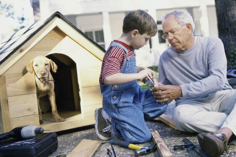 西方人,儿童,老年人,两个人,家庭,祖父,家,站,坐,笑,微笑,露齿笑,横图,室外,白天,正面,纯洁,宠物,狗,欧洲,欧洲人,敲打,握,阴影,服装,裤子,光线,锤子,工具,榔头,木材,眼镜,影子,房屋,屋子,公寓,注视,休闲装,金毛犬,洋房,楼房,住宅,木柴,一只,小孩,衣服,阳光,动物,容器,低头,观察,看,站着,休闲,温暖,温馨,一家人,休闲服,背带裤,可爱,童年,童趣,握着,木料,金毛,爷爷,观看,祖孙,储藏,老花镜,五金,和睦,察看,狗窝,金毛猎犬,变形,紧固,储存,关注,矫正,寻回犬,塑形,童真,烂漫,无邪,金毛寻回犬,忠诚,外公,外祖父,外孙,外孙子,牢固,金毛狗,金毛寻回狗,寻回狗,远视眼镜,饭单裤,工装裤,天真,老年男性,男孩,男人,男性,白种人,孩子,孙子,犬,站立,坐着,半身,彩图,房子,融洽,贮存,男生