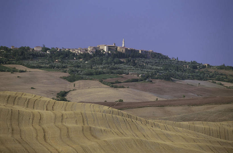 无人,家,农田,横图,室外,白天,正面,旅游,度假,庄稼,农作物,草地,草坪,美景,植物,棕榈树,叶子,意大利,欧洲,阴影,光线,影子,房屋,屋子,景观,绿叶,娱乐,楼房,住宅,草,树,树木,蓝色,绿色,蓝天,天空,阳光,自然,天,享受,休闲,嫩叶,景色,放松,生长,晴朗,成长,托斯卡纳,锡耶纳,南欧,自然风光,棕榈叶,皮恩扎,万里无云,意大利共和国,托斯卡纳大区,叶,叶片,晴空,晴空万里,彩图,耕地,庄稼田,房子
