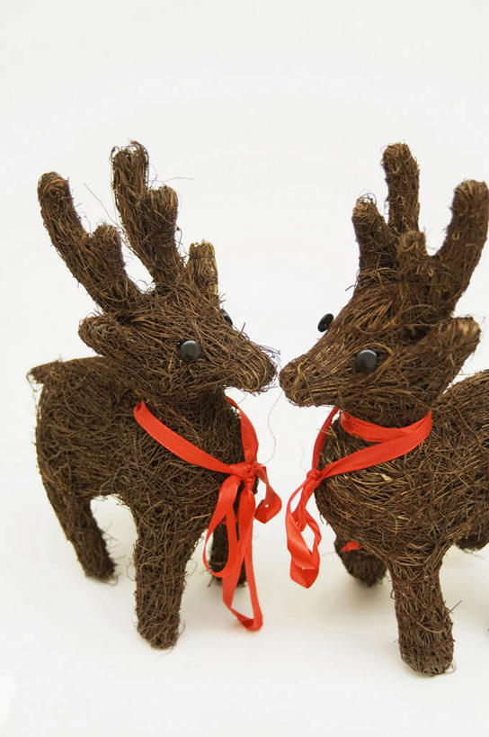 无人,站,竖图,俯视,室内,特写,白天,白色背景,游戏,幸福,哺乳动物,鹿,野生动物,玩具,阴影,反射,丝绸,丝带,影子,缎带,玩,注视,娱乐,绸带,动物,观察,看,站着,两只,休闲,可爱,益智,摄影,活泼,影棚,观看,活动,吉祥,察看,发泄,关注,消遣,智力,宣泄,进取,角鹿,驯鹿,玩耍,嬉戏,站立,彩图,高角度拍摄,全身,影棚拍摄,拍摄