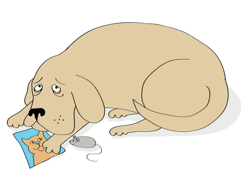 无人,横图,插画,照片,室内,白天,白色背景,侧面,失败,数码,科技,宠物,狗,猫,野生动物,老鼠,阴影,沮丧,网络,细菌,高光,几何,计算机图形,合成,图画,注视,画,一只,动物,观察,看,趴着,难受,可爱,无奈,摄影,观看,失望,悲伤,电脑合成图,数码合成图,察看,伤心,难过,合成图,关注,失落,猫咪,漫画,病菌,忠诚,颓废,写实,具体,具象,挫败,受挫,落败,落空,错过,失足,失意,失策,失算,颓丧,衰颓,悲哀,懊丧,颓靡,气馁,丧气,传染,四害,败北,挫折,失利,相片,犬,耗子,趴,彩图,全身,拍摄,照相