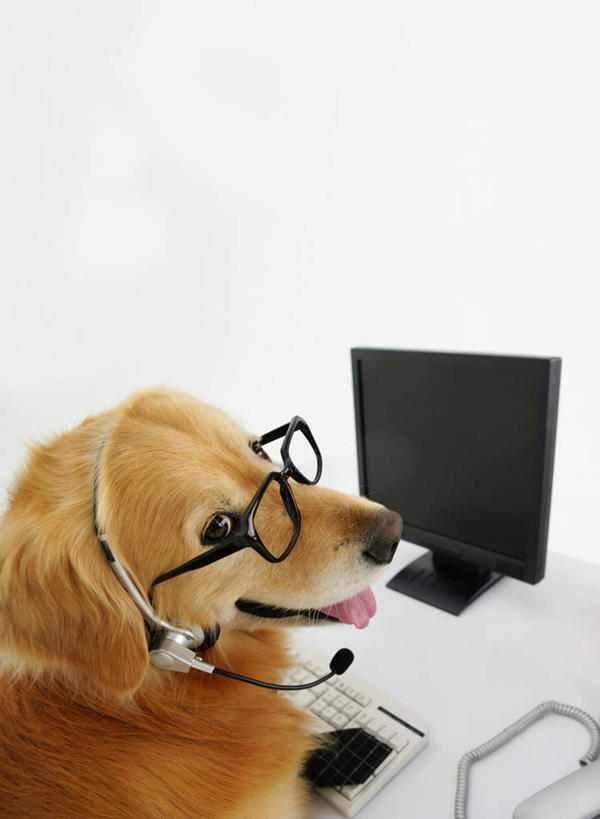 头,无人,办公室,坐,竖图,俯视,室内,特写,白天,白色背景,商务,通讯,客服,电脑,显示器,鼠标,键盘,家具,桌子,宠物,狗,工作,网络,信息,办公桌,话务员,扭头,注视,输入设备,通讯设备,金毛犬,吐舌头,一只,动物,耳机,耳麦,话筒,观察,看,转头,台式电脑,可爱,服务,通信,摄影,影棚,金毛,观看,协调,察看,金毛猎犬,麦克风,头戴式耳麦,关注,销售,寻回犬,通信设备,输出设备,客服人员,金毛寻回犬,忠诚,电话销售,办公家具,接待员,金毛狗,金毛寻回狗,寻回狗,舌头,头部,接线员,犬,坐着,半身,彩图,高角度拍摄,影棚拍摄,办公,拍摄,头戴式耳机