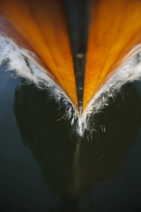 无人,竖图,俯视,室外,特写,白天,海浪,海洋,水,船,阴影,飞溅,溅,光线,液体,影子,浪花,水滴,木船,水珠,阳光,海水,交通工具,舟,喷洒,载具,海景,大海,风浪,海,海水的波动,近岸浪,涌浪,彩图,高角度拍摄