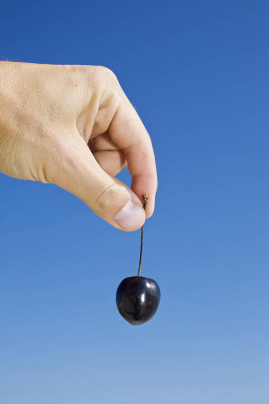 西方人,手,一个人,竖图,室内,特写,白天,正面,樱桃,水果,欧洲,欧洲人,仅一个男性,仅一个人,蓝色背景,新鲜,生食,食品,果实,拿,拿着,食物,仅一个年轻男性,一个,手部,摄影,有机食品,绿色食品,影棚,单个,单手,大樱桃,男人,男性,年轻男性,白种人,樱珠,莺桃,英桃,楔桃,牛桃,荆桃,车厘子,半身,彩图,影棚拍摄,拍摄