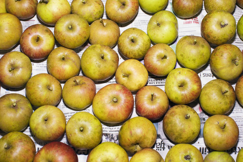 无人,横图,俯视,室外,特写,白天,苹果,报纸,水果,一堆,许多,堆叠,堆积,丰富,丰收,新鲜,信息,生食,食品,果实,很多,丰盛,食物,绿色,青苹果,有机食品,绿色食品,堆,新闻,丰登,丰硕,彩图,高角度拍摄,报刊