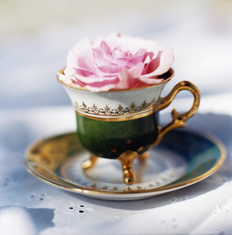 无人,竖图,俯视,室内,特写,白天,爱情,幸福,纯洁,热情,桌面,玫瑰,静物,杯子,餐具,一块,阴影,条纹,朦胧,模糊,盛开,光线,碟子,盘,影子,冰激凌,玫瑰花,浪漫,清凉,花蕾,花,花瓣,花朵,鲜花,一朵,粉色,阳光,盘子,碟,冷饮,花苞,花蕊,舒服,温暖,温馨,冰淇淋,恩爱,解暑,和睦,解渴,感动,雪糕,舒爽,尊敬,冰糕,消暑,天真,刺玫花,徘徊花,彩图,高角度拍摄,融洽