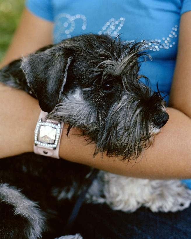 西方人,一个人,坐,抱,竖图,室外,特写,白天,正面,宠物,狗,欧洲,欧洲人,仅一个年轻女性,仅一个女性,仅一个人,一块,戴,服装,朦胧,模糊,时间,时钟,手表,计时,休闲装,一只,衣服,粉色,蓝色,黑色,动物,钟表,休闲,休闲服,表,可爱,服饰,抱着,腕表,戴着,搂着,忠诚,年轻女性,女人,女性,白种人,钟,犬,怀抱,搂,搂抱,相抱,拥抱,坐着,半身,彩图